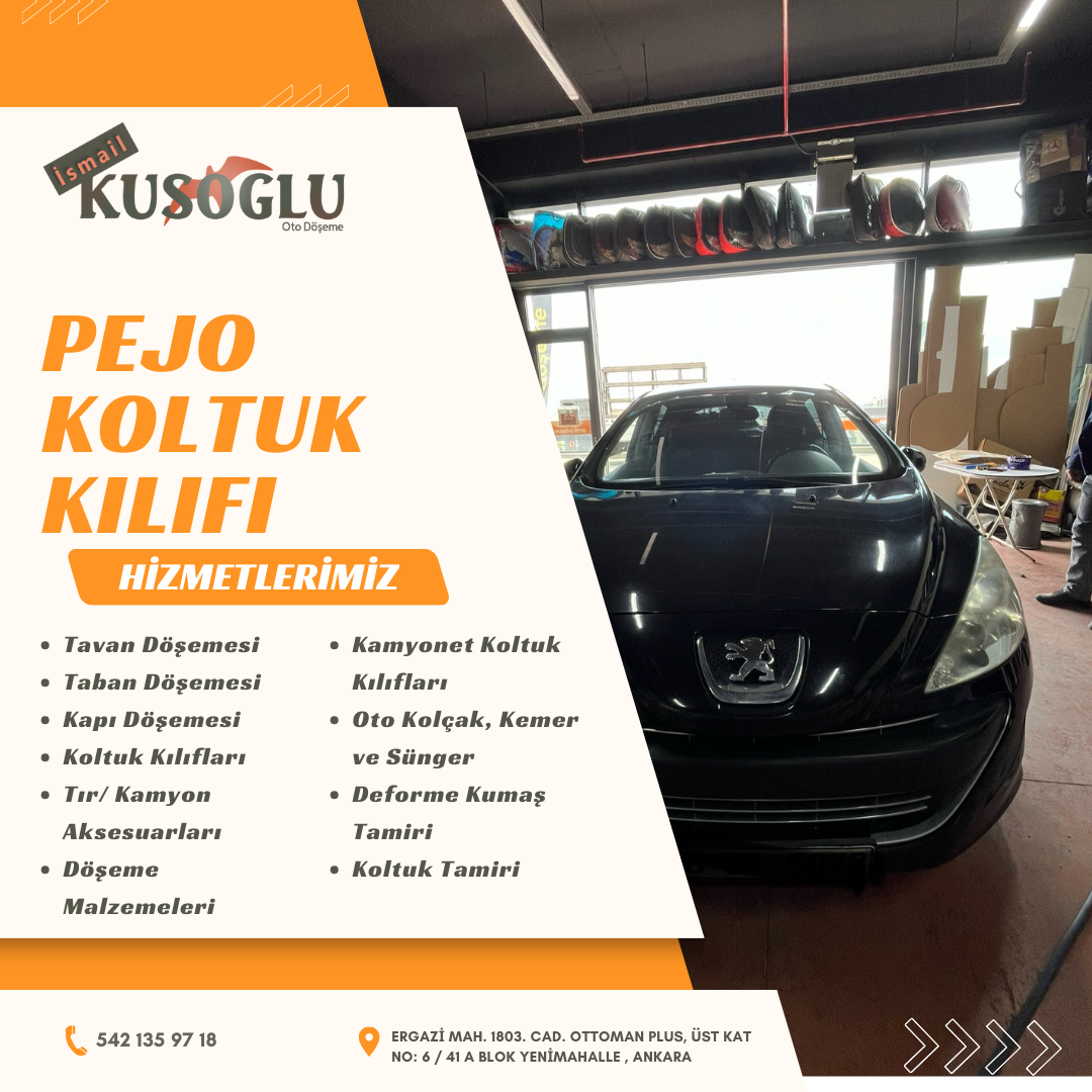 Pejo koltuk kılıfı